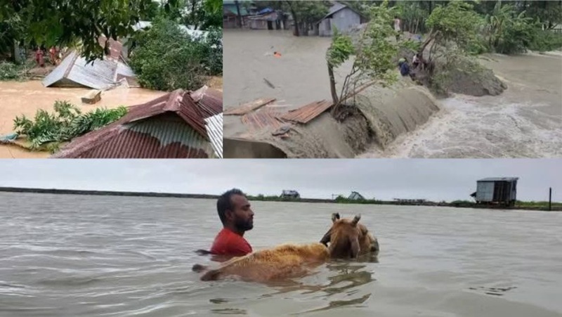 ভোলায় হঠাৎ জোয়ারে তলিয়ে ২৫ গ্রাম,পানিবন্দি ৩০ হাজার মানুষ